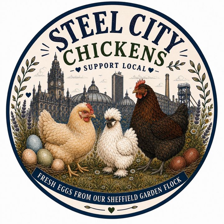 Steel City Chickens