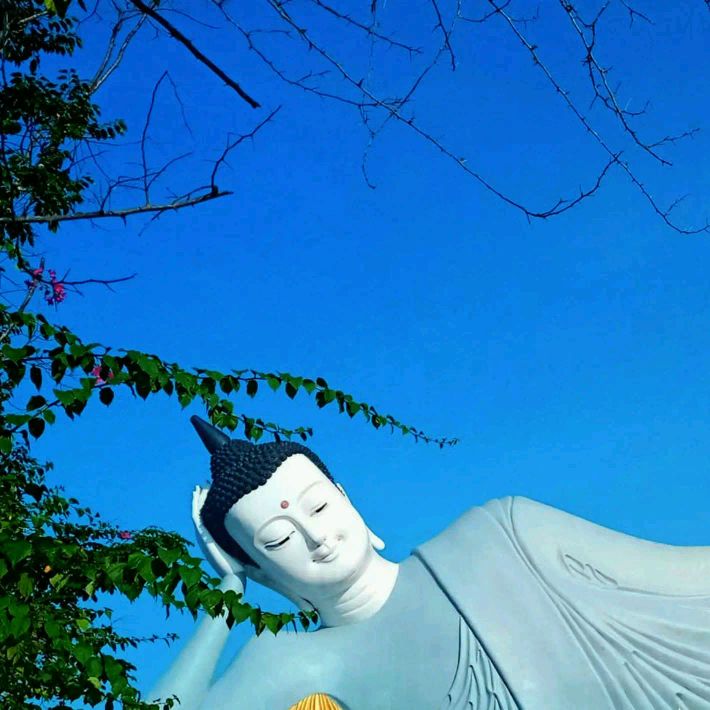 LÝ ĐỨC