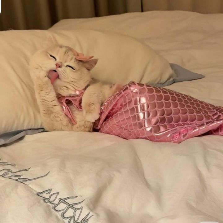 Mermaid Diaries ✨