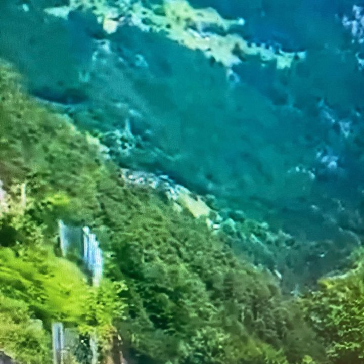 tinjdyv5