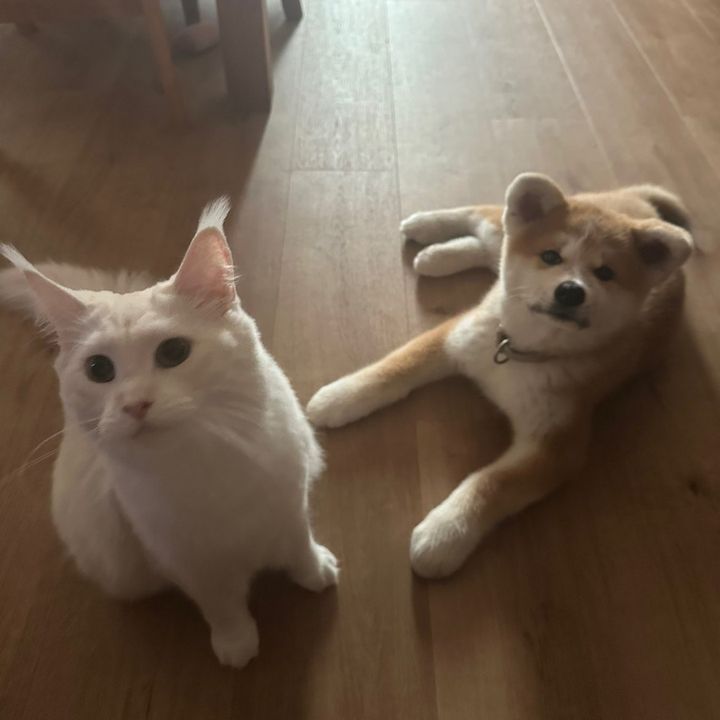 Athéna & Beiyû