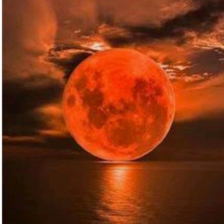 Lunarossa 🌒
