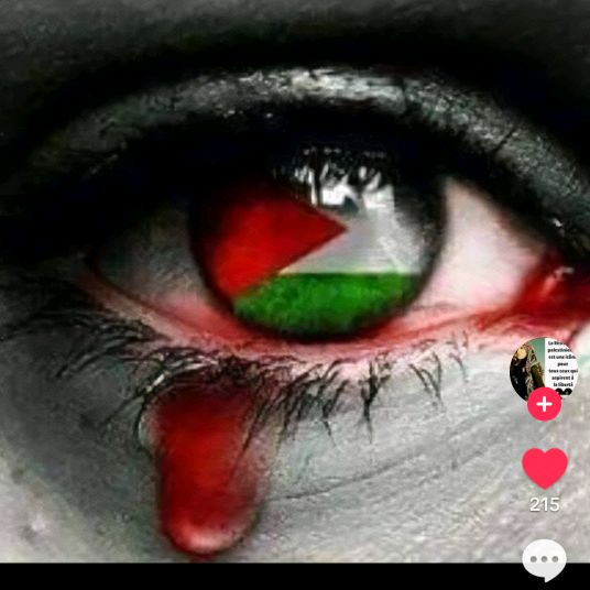 user36300842338