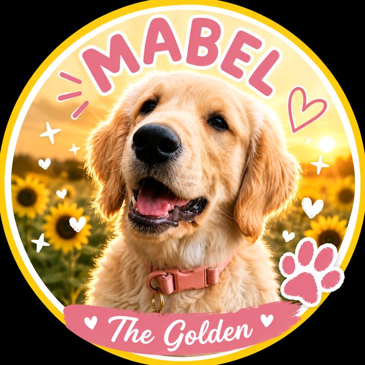 MabelTheGolden💛