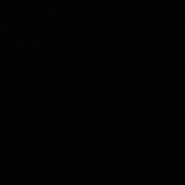 user8280434249783