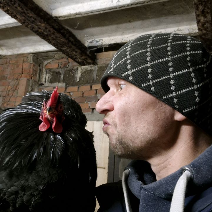 Lucky Chicken Rob