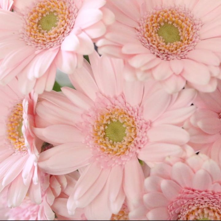 ゆみりー
