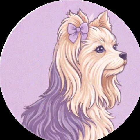 Samy Pet news