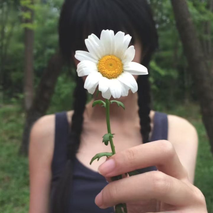 bosudam