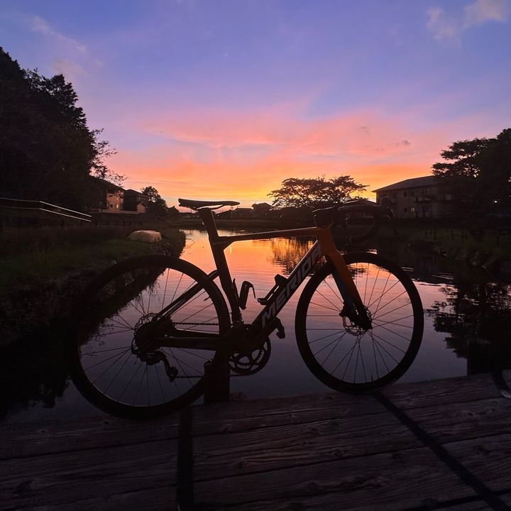 自転車とおともだち