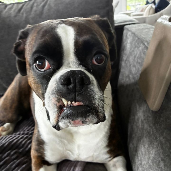 Little menace