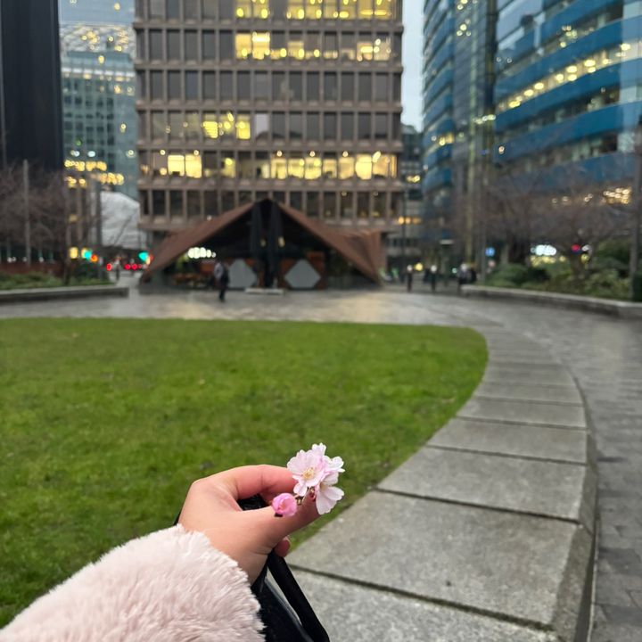 𝑺𝒂𝒃𝒂♡