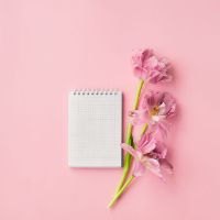 chika｜くらしの買い物研究室💭