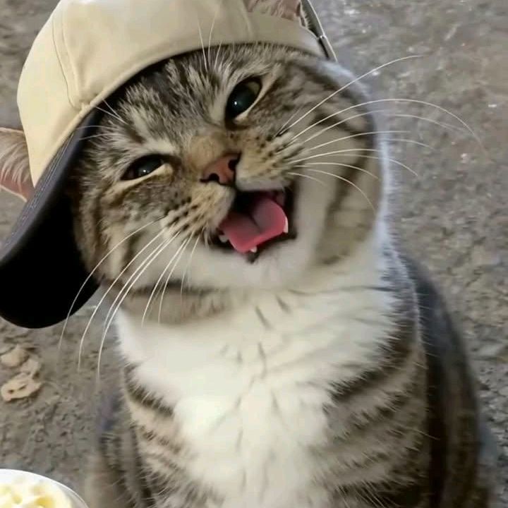 𝙋𝙖𝙬𝙃𝙚𝙖𝙧𝙩𝙨