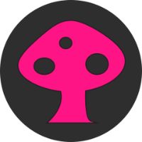 きの子｜ママも女も諦めないアラフォー女子