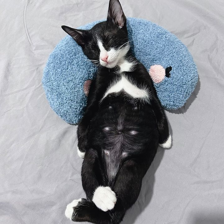 Bean và Móm