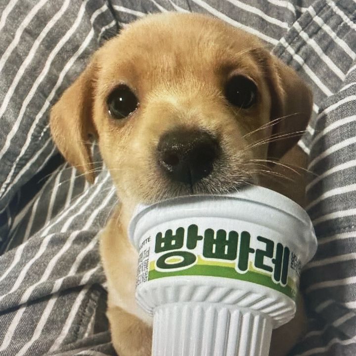 HolyBless