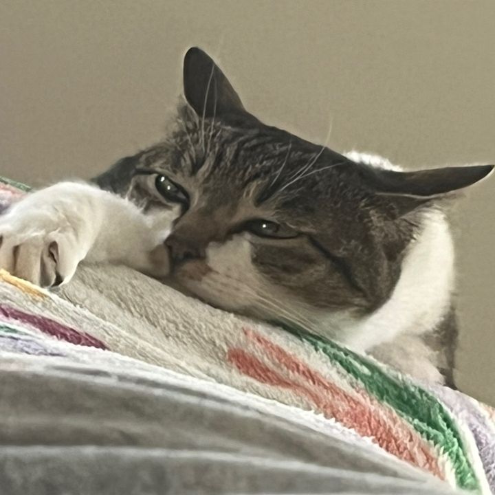 ヨドバシドンドコハッピー