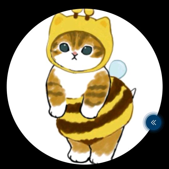 meowmeow