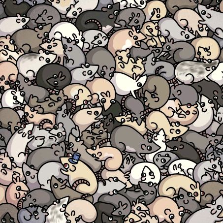 RatRascals