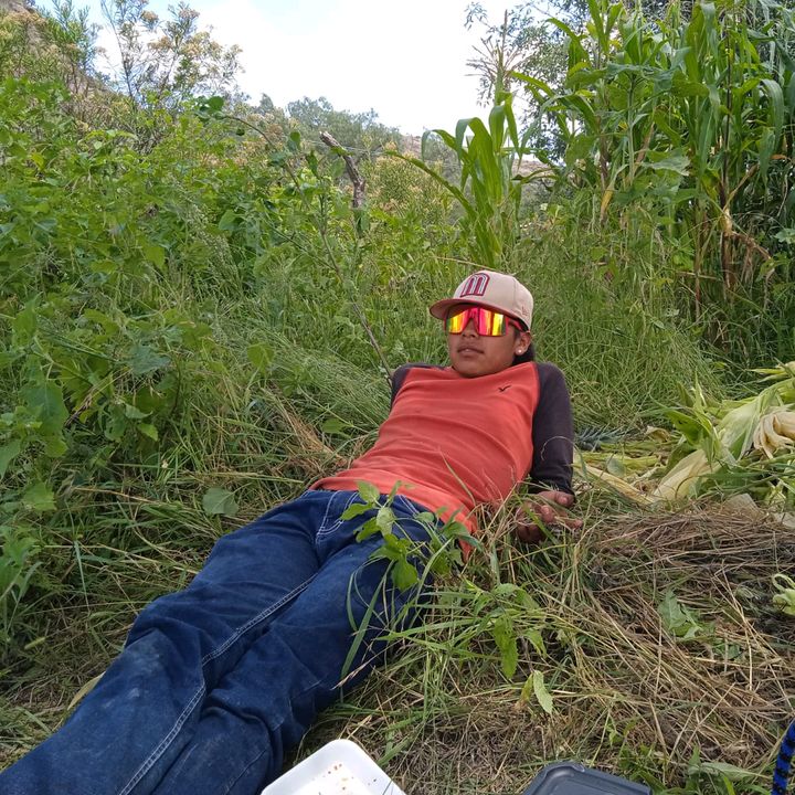 José
