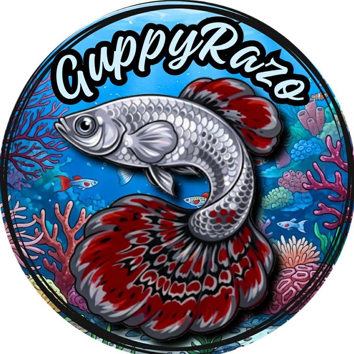 GuppyRazo