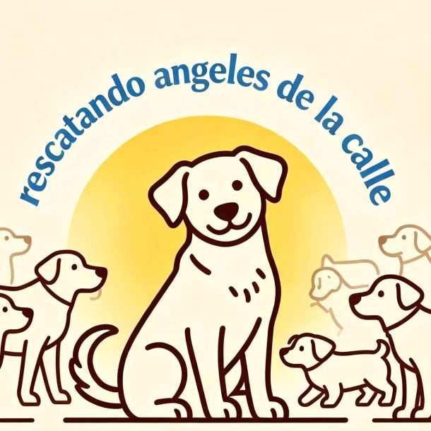 angelessinhogar