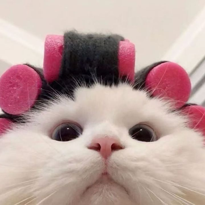 ぼんやり待機