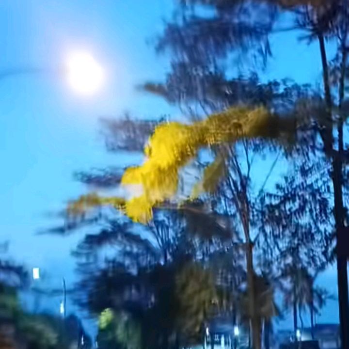 nanicipta