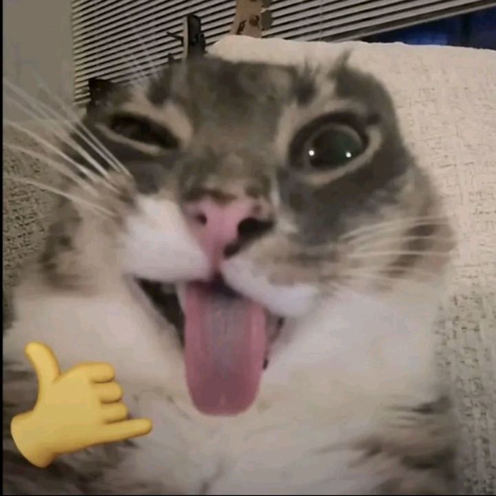 𝒢𝓊𝒶𝓇𝒹𝒾𝒶𝓃 🪽
