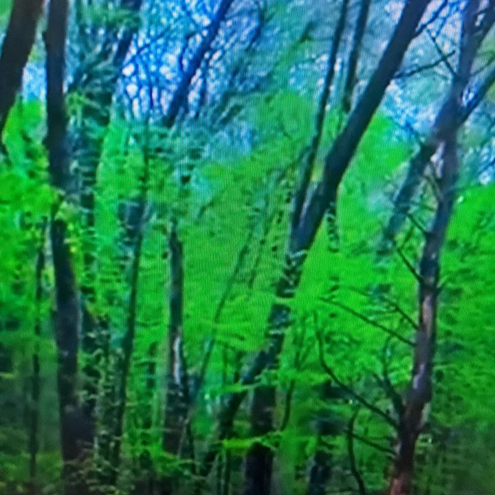 jnrhge6