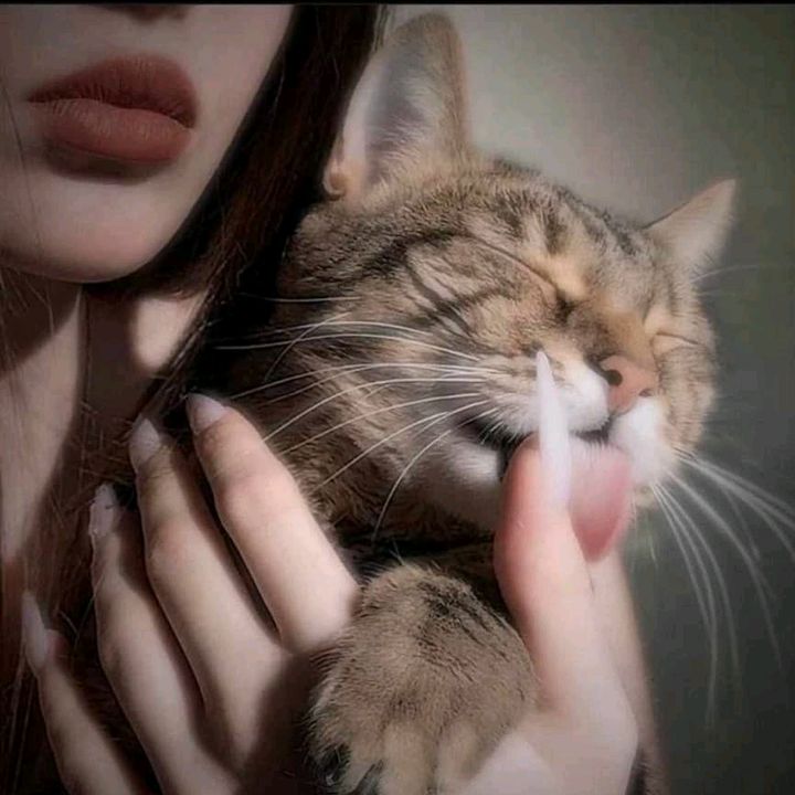 Sahar