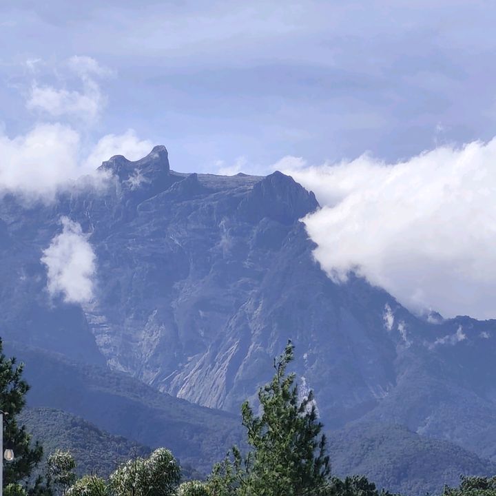 Vieana