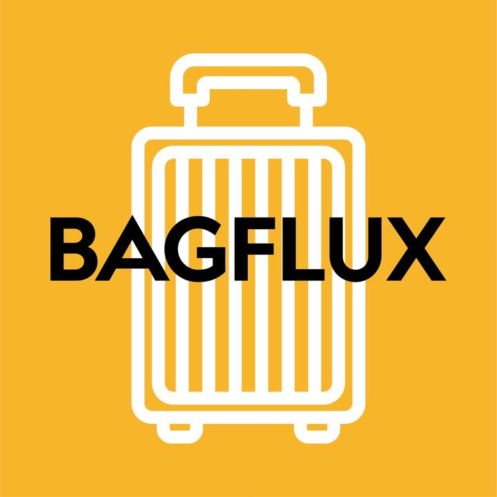 BagFlux_luggage