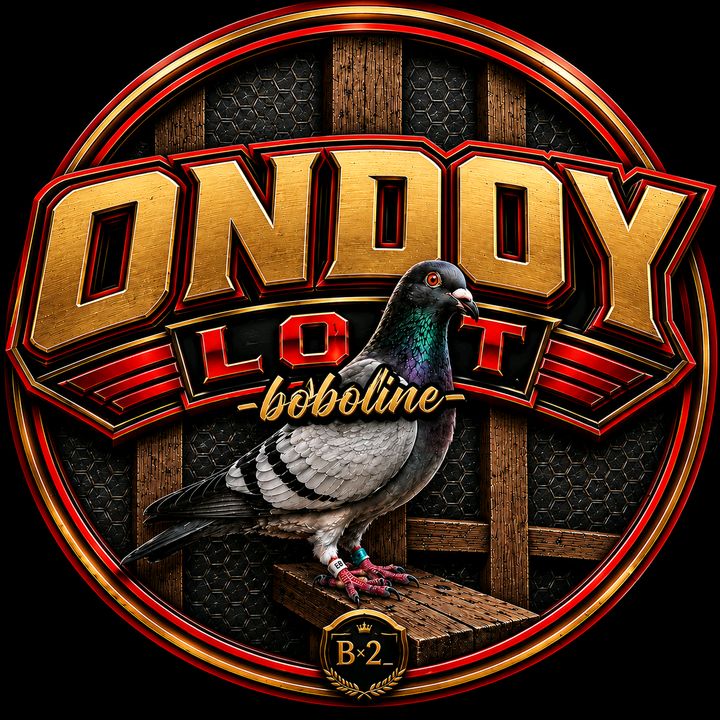 (ONDOY LOFT)_(BX2_)