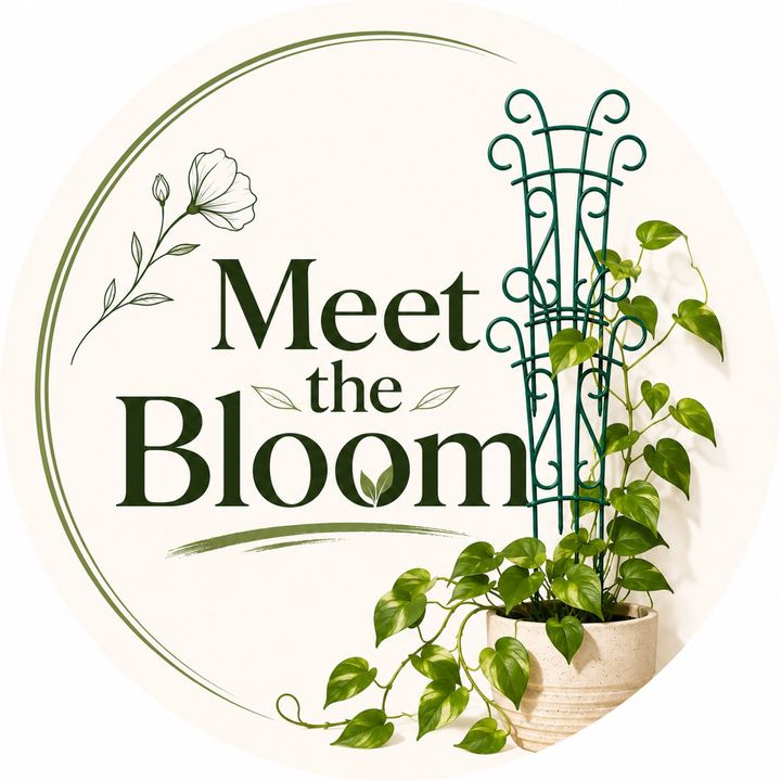 Meet the Bloom