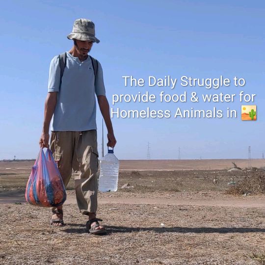 Ismail Animal volunteer