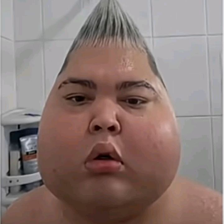 memes diários