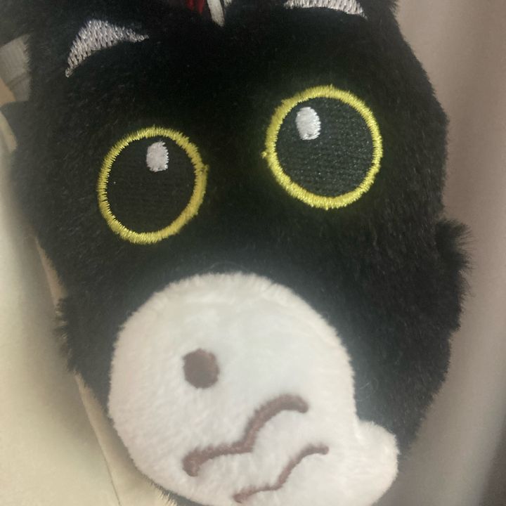 moniqwdbu2v