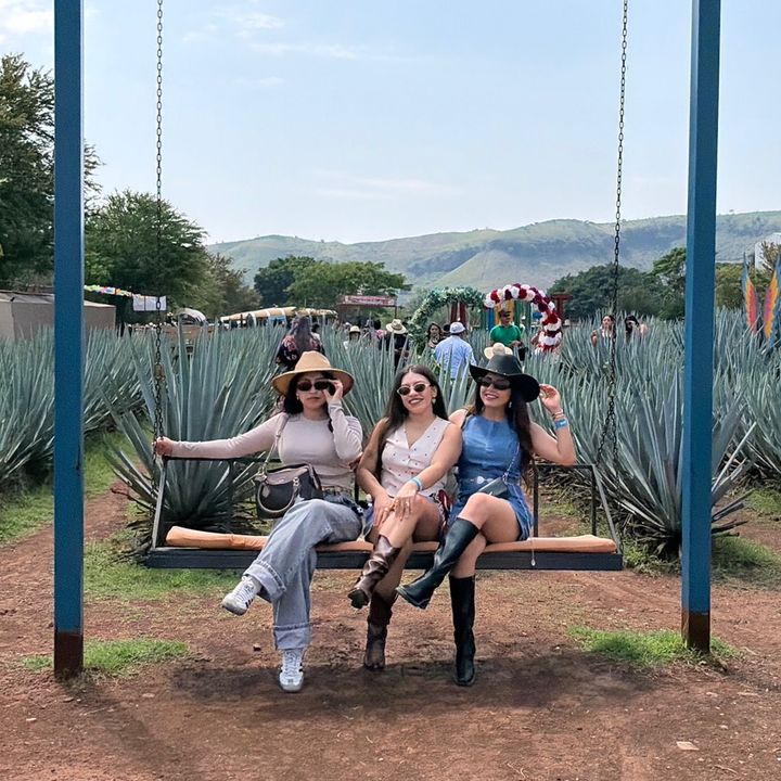 bbchis.com