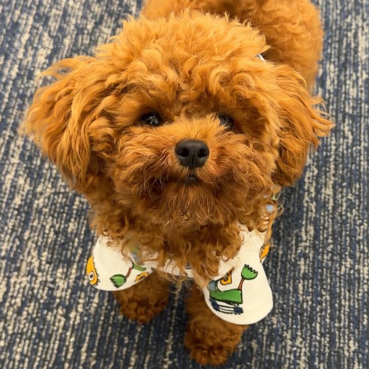 Pancake 🥞🧸🤎