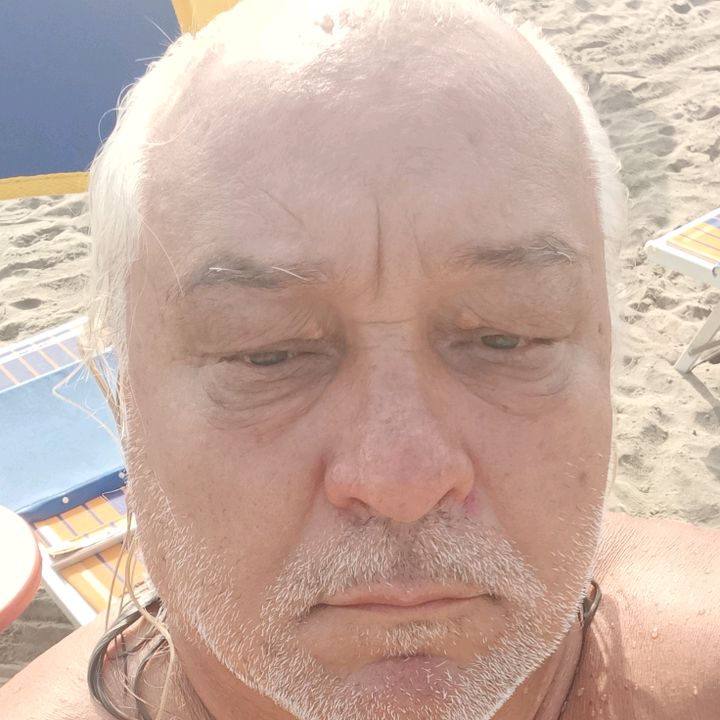 Sparviero65