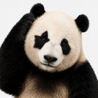 まる｜Maru