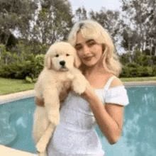 AP
