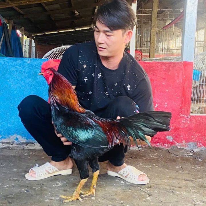 Bé Mẫn 9