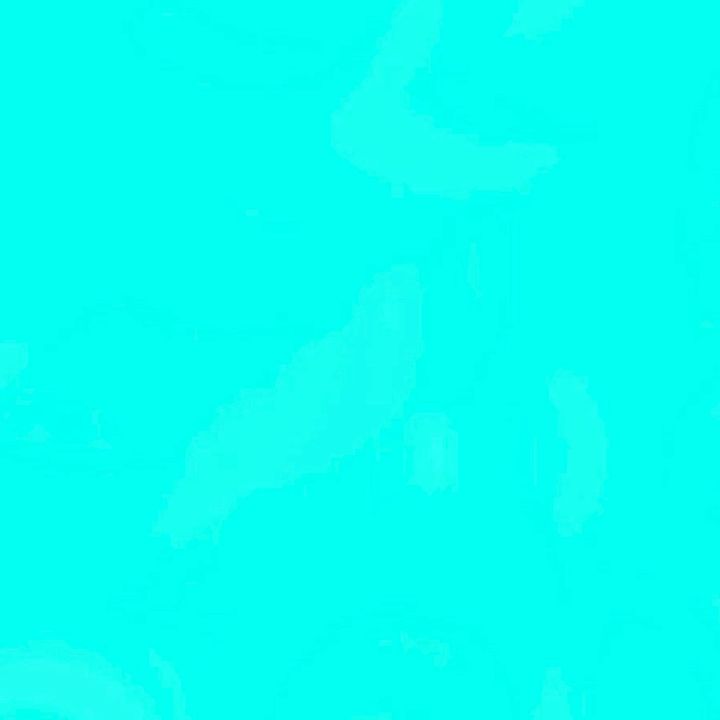𝐊𝐲𝐥𝟐𝐢𝐚’🦎