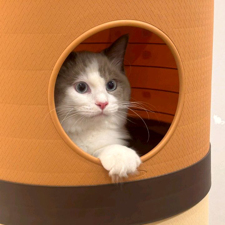 ♡