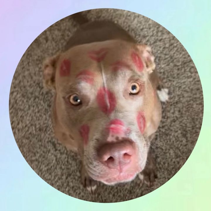 NalaBeanThePibble