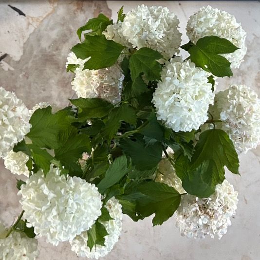 mountain decoration