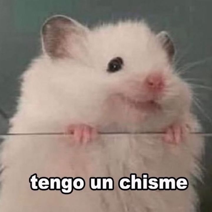chismesitosdeinfluencers